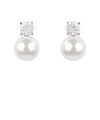 Earrings 2339