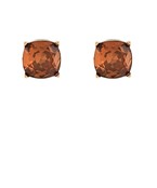 Earrings 2653