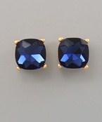 Earrings 2343