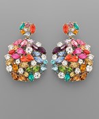 Earrings 2346
