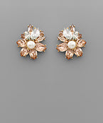 Earrings 2354