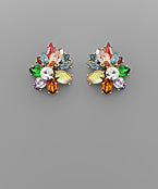 Earrings 2355