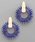 Earrings 2376