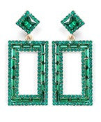Earrings 2677