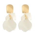 Earrings 2691