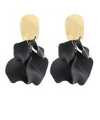 Earrings 2692