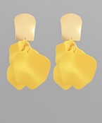 Earrings 2695