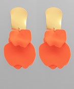 Earrings 2693