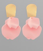 Earrings 2697