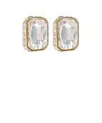 Earrings 2419