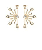 Earrings 2423