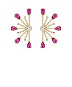 Earrings 2424