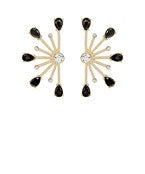 Earrings 2704