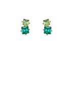 Earrings 2708