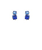 Earrings 2709