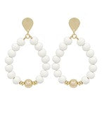 Earrings 2710