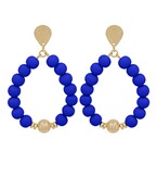 Earrings 2711