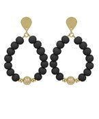 Earrings 2713