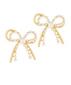 Earrings 2717