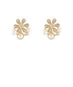 Earrings 2722