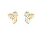 Earrings 2724