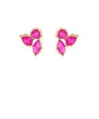 Earrings 2473