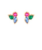 Earrings 2725