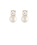Earrings 2480