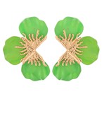 Earrings 2492