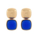 Earrings 2497