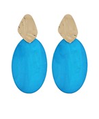 Earrings 2507