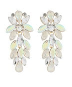 Earrings 2509