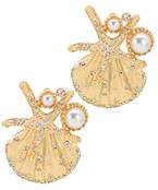 Earrings 2517
