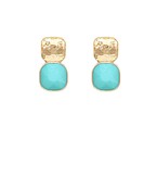 Earrings 2523