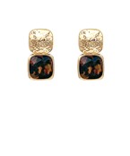 Earrings 2747