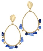 Earrings 2760