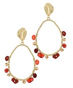 Earrings 2761
