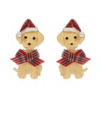 Earrings 2562