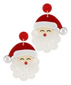 Earrings 2563