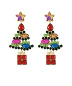 Earrings 2564