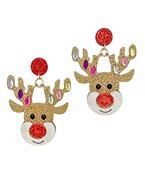 Earrings 2567