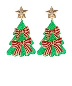 Earrings 2569