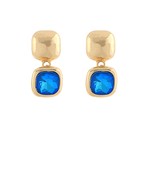 Earrings 2574