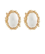 Earrings 2588