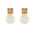 Earrings 2773