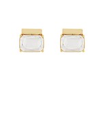 Earrings 2803