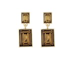 Earrings 2813
