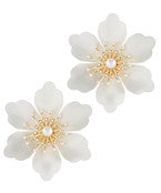Earrings 2836