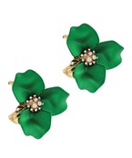 Earrings 2838