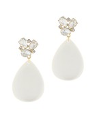 Earrings 2839